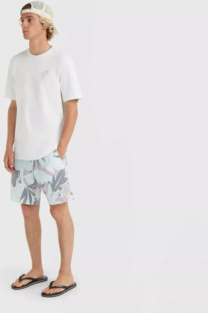 Męska koszulka z krótkim rękawem O'neill OG BT T-SHIRT natural rozmiar M