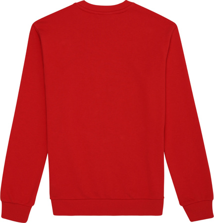 Bluza męska Fila Leverano Regular Crew Sweat czerwona FAM0876 30002