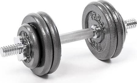 Hantel żeliwny Profit 15 kg DK 4126