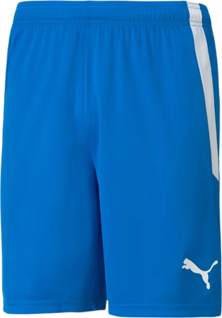 Spodenki męskie Puma teamLIGA niebieskie 704924 02