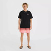 Męska koszulka z krótkim rękawem O'neill JACK O'NEILL BACKPRINT T-SHIRT black out rozmiar M