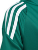 Koszulka dla dzieci adidas Tiro 24 Jersey zielona IS1028