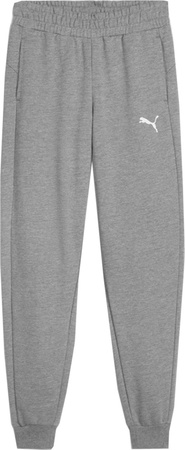 Spodnie dla dzieci Puma Team Goal szare 658601 33