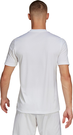Koszulka męska adidas Entrada 22 Graphic Jersey biało-szara HF0129