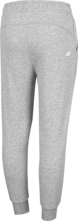 Spodnie dla dziewczynki 4F szare HJZ22 JSPDD001 25M