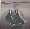 Końcówki do kijków trekkingowych Bjorn buciki 1180 2szt. T1