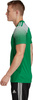 Koszulka męska adidas Regista 20 Jersey zielona FI4559