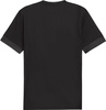 Koszulka męska Puma teamGoal Matchday Jersey czarna 705747 03