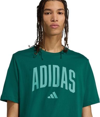 Koszulka męska adidas Collegiate Lineage Graphic zielona KA7135