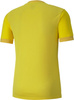 Koszulka męska Puma teamGOAL 23 Jersey żółta 704171 07