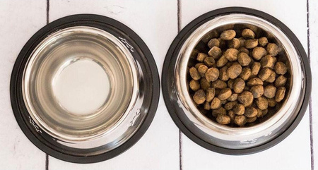 Miska dla psa i kota stal nierdzewna 34cm