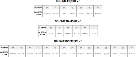 Klapki męskie 4F M046A ciemny granat 4FMM00FFLIM046A 30S
