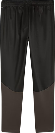 Spodnie męskie Puma Team Goal Training czarne 658639 03