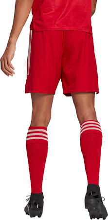 Spodenki treningowe krótkie męskie adidas Condivo 21 Primeblue Shorts czerwone GJ6810