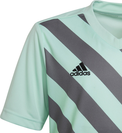 Koszulka dla dzieci adidas Entrada 22 Graphic Jersey miętowo-szara HF0127