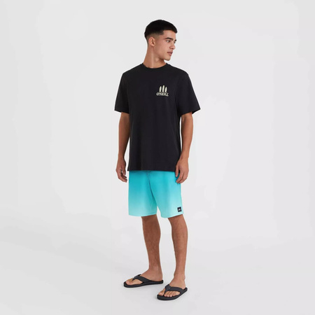 Męska koszulka z krótkim rękawem O'neill O'NEILL BEACH GRAPHIC T-SHIRT black out rozmiar M
