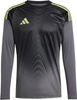 Koszulka bramkarska męska adidas Tiro 25 Competition Long Sleeve Jersey LM szara JN2017