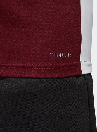 Koszulka dla dzieci adidas Entrada 18 Jersey JUNIOR bordowa CE9564