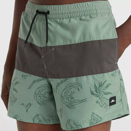 Męskie szorty O'neill MIX