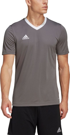 Koszulka męska adidas Entrada 22 Jersey szara