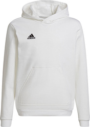 Bluza dla dzieci adidas Entrada 22 Hoody biała HG6303