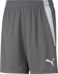 Spodenki dla dzieci Puma teamLIGA Shorts Jr Smoked szare 704931 13