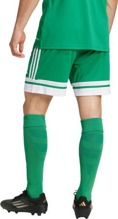 Spodenki męskie adidas Squadra 25 zielone JN7482