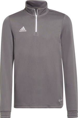 Bluza dla dzieci adidas Entrada 22 Training Top szara H57549