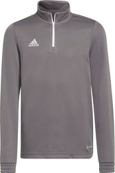 Bluza dla dzieci adidas Entrada 22 Training Top szara H57549