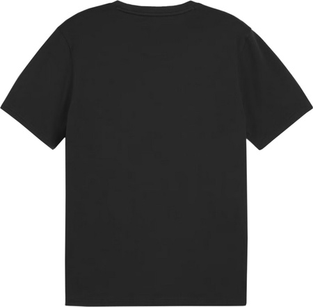 Koszulka męska Puma Team Goal Casuals Tee czarna 658615 03