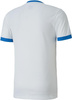 Koszulka męska Puma teamGOAL 23 Jersey biało-niebieska 704171 12