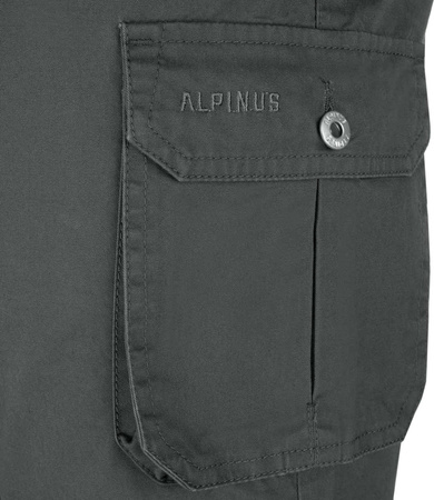 Spodenki męskie Alpinus Askja szare SI18159