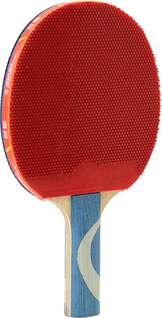 Rakietka do tenisa stołowego ping-ponga Giant Dragon 8★ N8082 2 piłeczki, pokrowiec