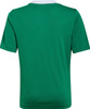 Koszulka dla dzieci adidas Entrada 22 Jersey zielona HI2126