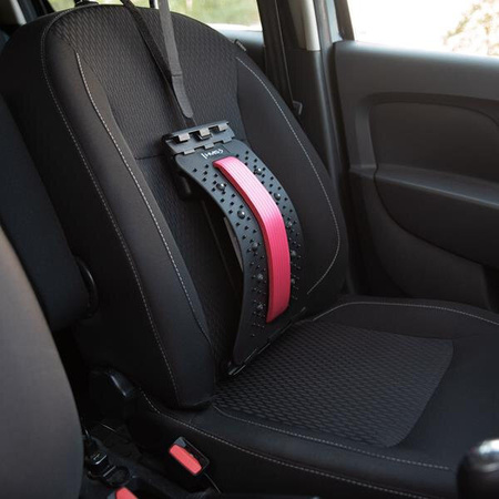 Przyrząd do rozciągania pleców z magnesami HMS prp02 czerwony