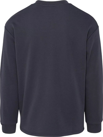 Męska bluza casualowa bez kaptura mikropolar Iguana Grove rozmiar XXL