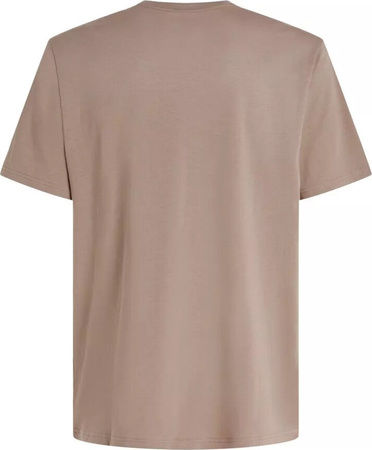 Męska koszulka z krótkim rękawem O'neill FUTURE SURF SOCIETY T-SHIRT pumpkin smoke rozmiar L