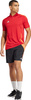 Koszulka męska adidas Tiro 24 Competition Polo czerwona IR7563