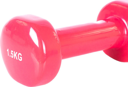 Hantle winylowe Profit różowe 2x1,5 kg DK 4102