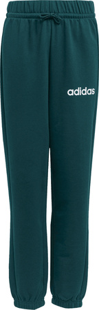 Dres dla dzieci adidas Essentials zielony JN2427