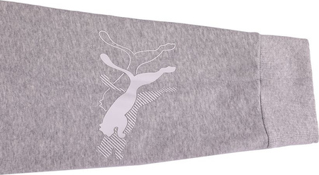 Spodnie damskie Puma Power Graphic Pants szare 847115 04