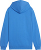 Bluza dla dzieci Puma Team Goal Casuals Hoddy niebieska 658619 02