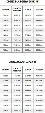 Kurtka narciarska dla chłopca 4F M532 czerwona 4FJWAW24TTJAM532 62S