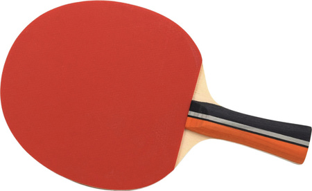 Rakietka do tenisa stołowego pin-ponga Sunflex TT Force C20 10314