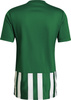 Koszulka męska adidas Striped 21 Jersey zielono-biała H35644