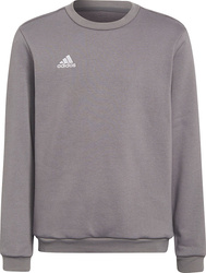 Bluza dla dzieci adidas Entrada 22 Sweat Top szara H57477