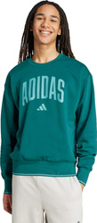 Bluza męska adidas Collegiate Sweat zielona JM1733