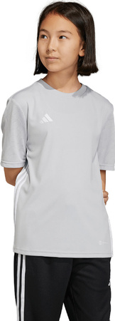 Koszulka dla dzieci adidas Tabela 23 Jersey szara IA9153