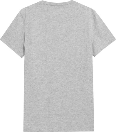 Koszulka męska 4F szara H4L22 TSM352 27M