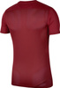 Koszulka treningowa męska Nike Dry Park VII JSY SS bordowa BV6708 677